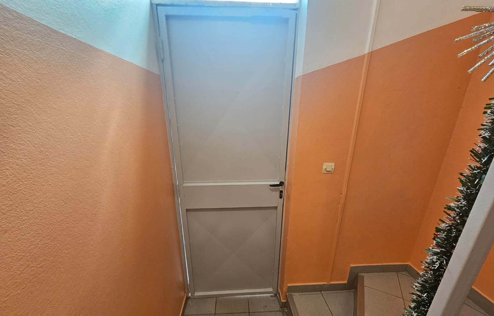 Location Appartement à Cayenne 3 pièces