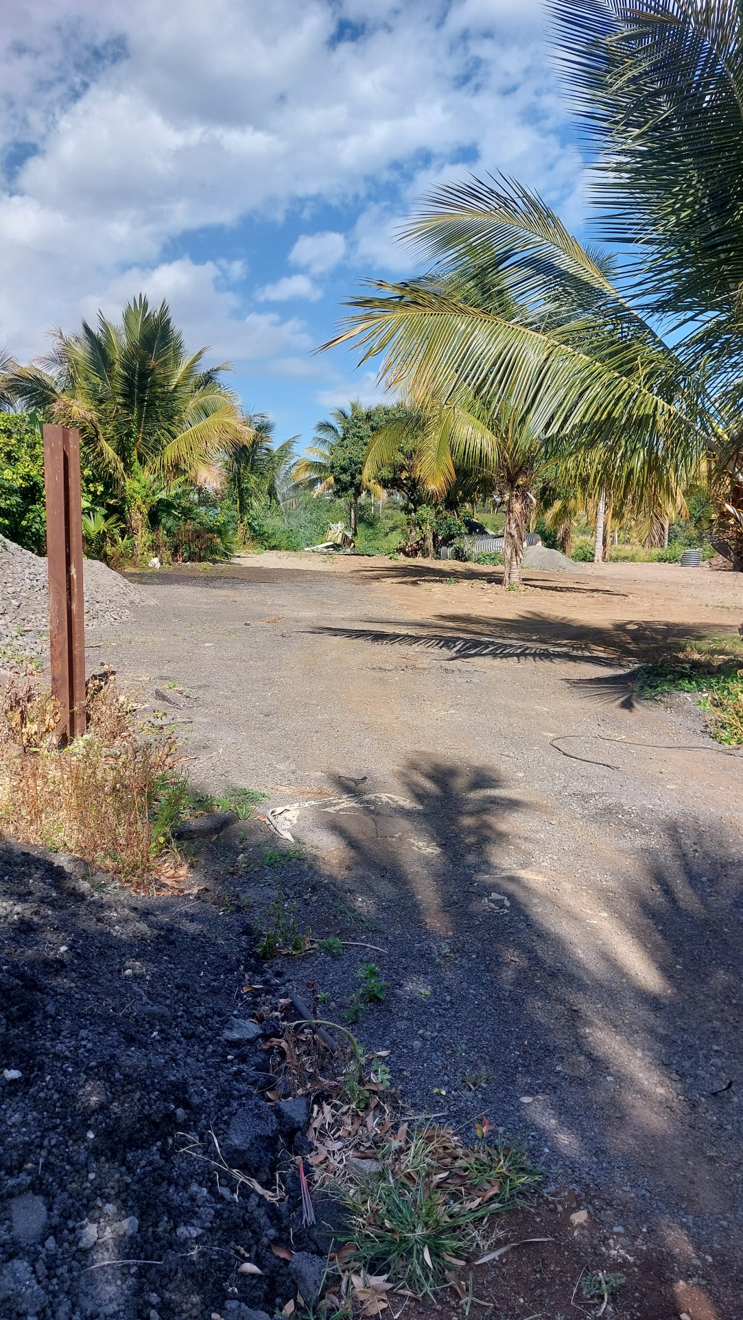 Location Terrain à Saint-Pierre 0 pièce