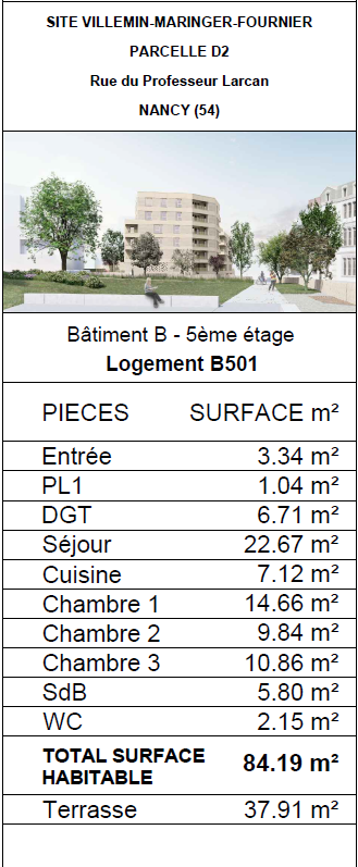 Vente Appartement à Nancy 4 pièces