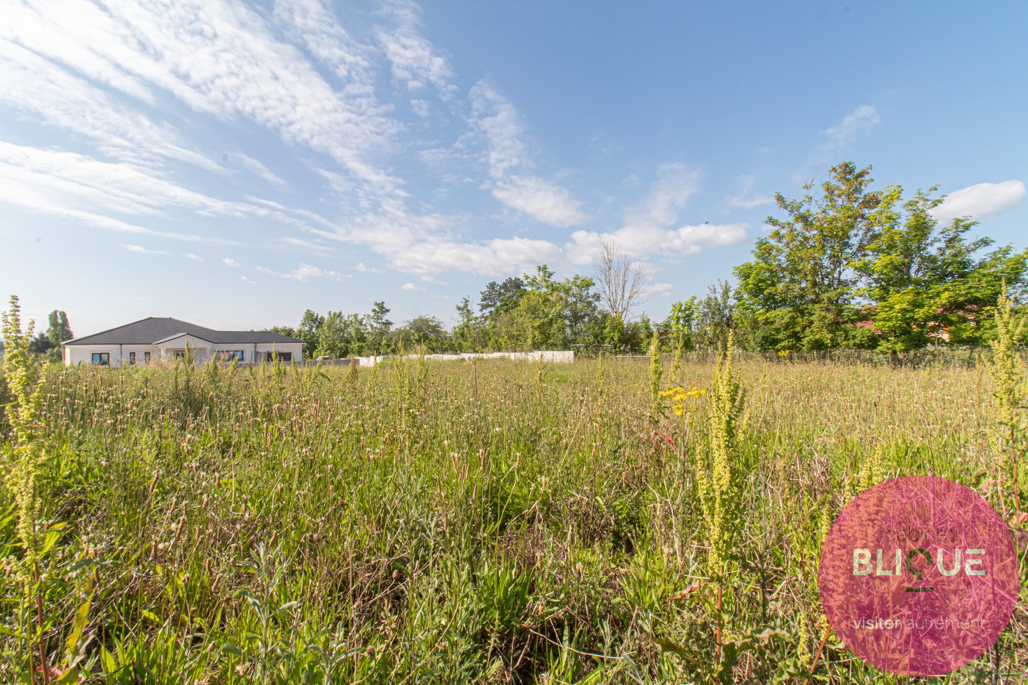 Vente Terrain à Lunéville 0 pièce