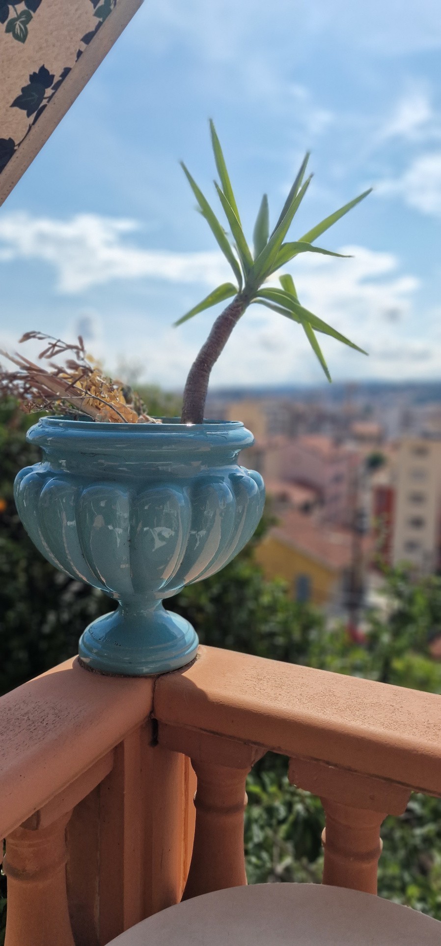 Vente Appartement à Nice 3 pièces