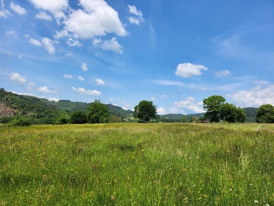 Vente Terrain à Aubazines 0 pièce