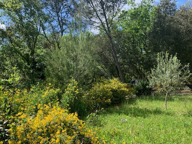 Vente Maison à Uzès 4 pièces