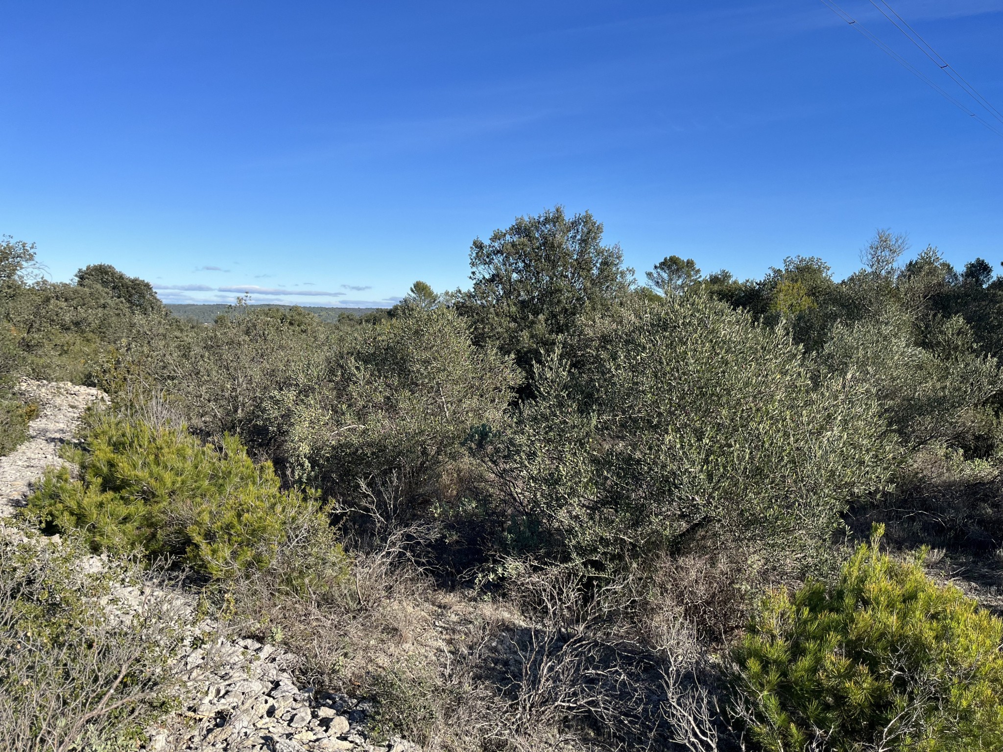 Vente Terrain à Uzès 0 pièce