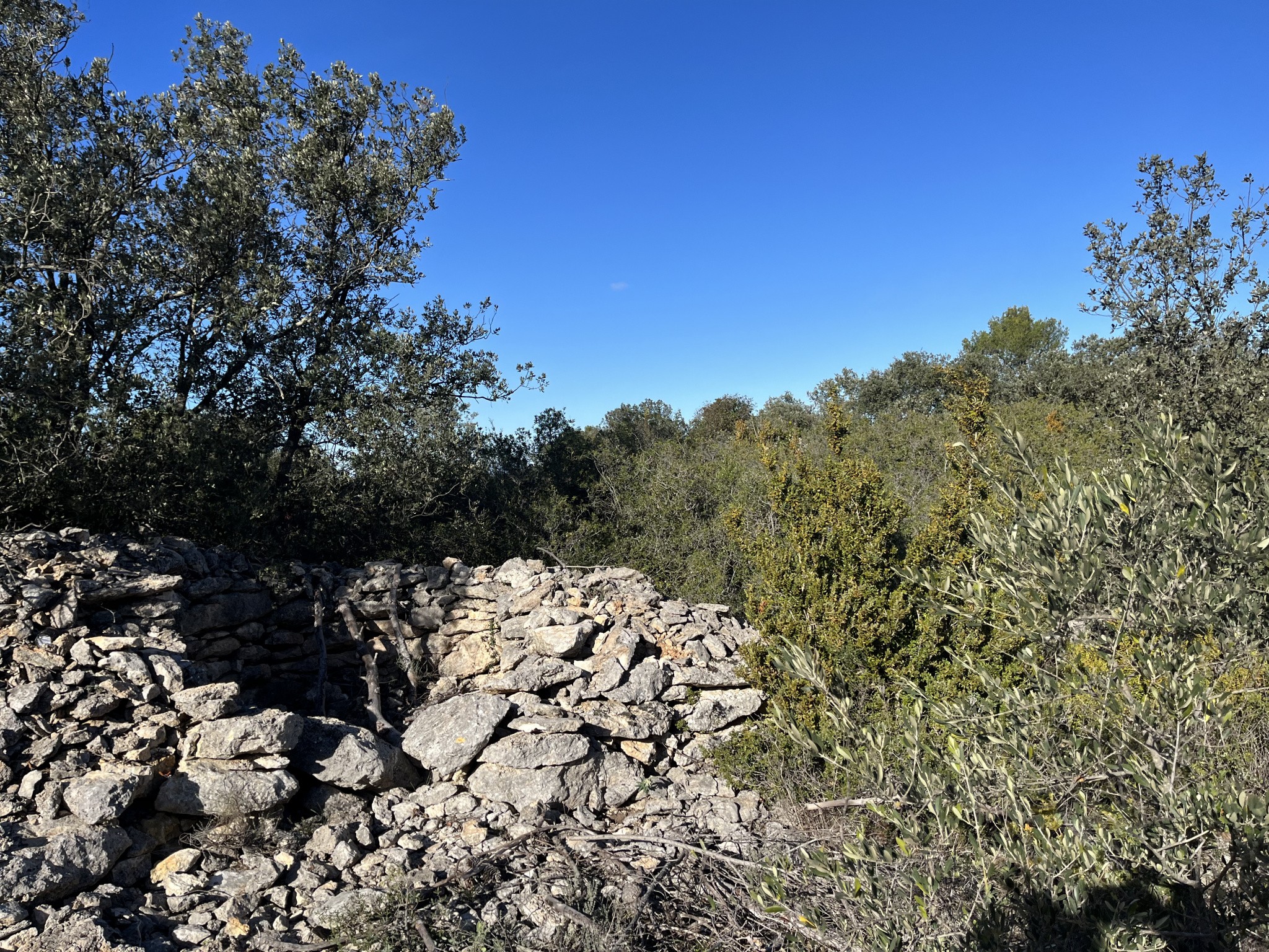 Vente Terrain à Uzès 0 pièce