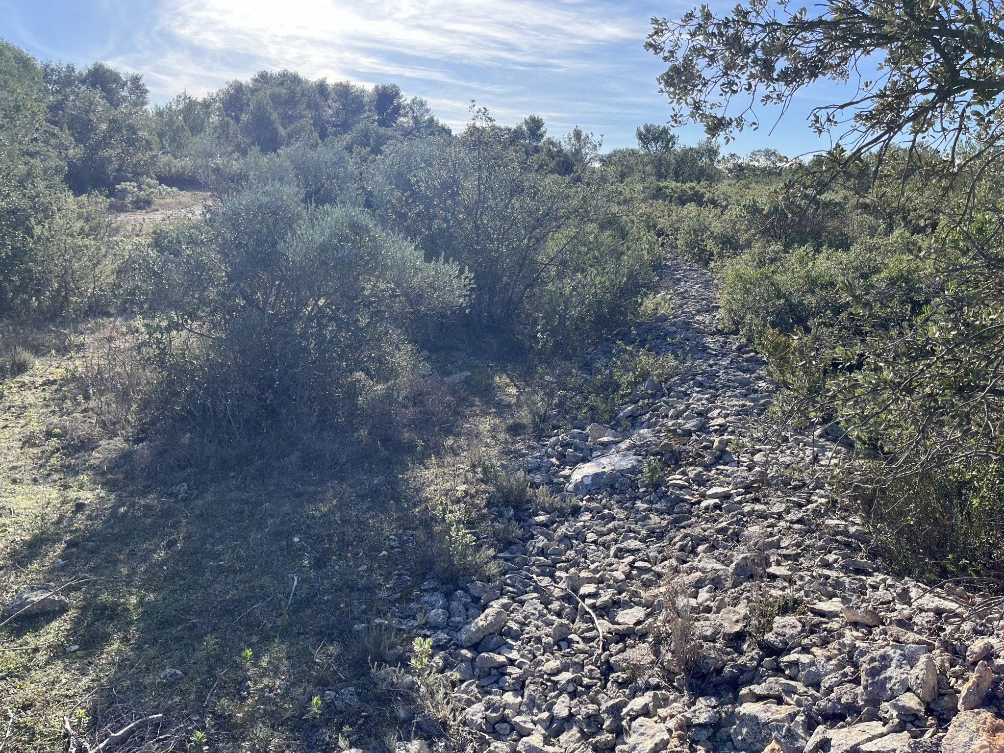 Vente Terrain à Uzès 0 pièce