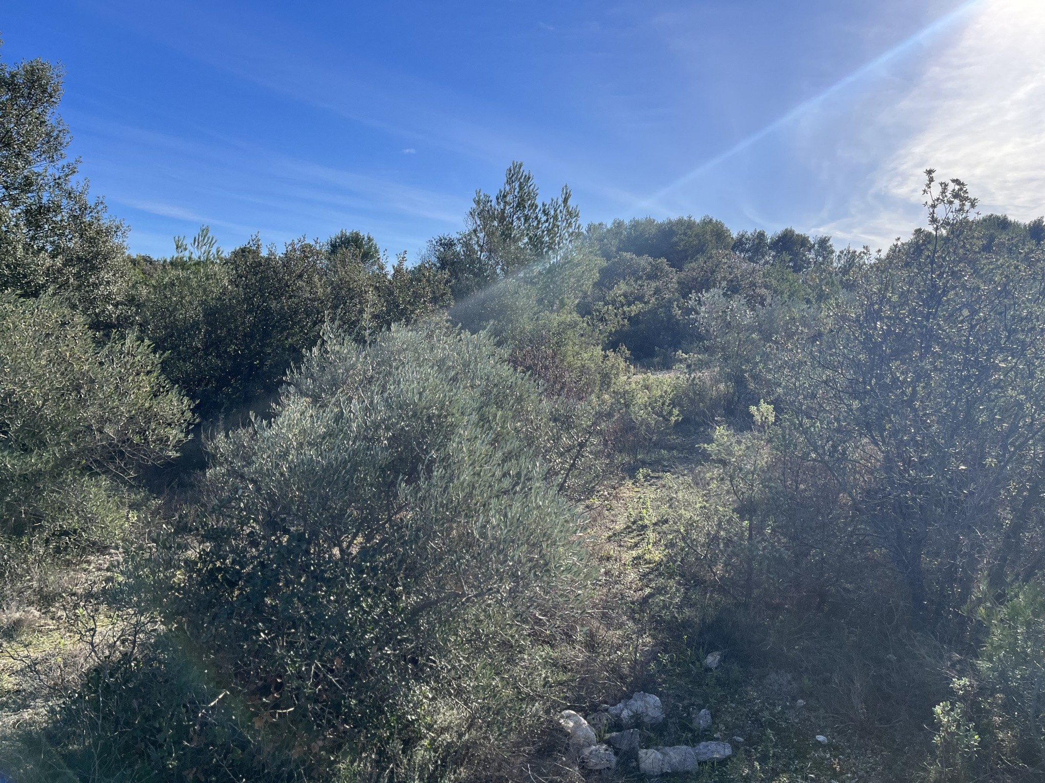 Vente Terrain à Uzès 0 pièce