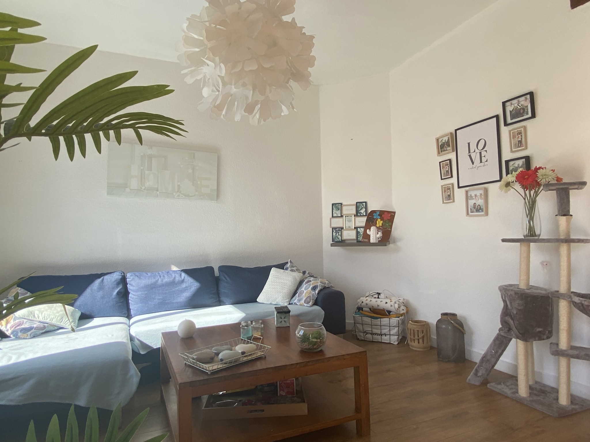 Vente Appartement à Perpignan 3 pièces