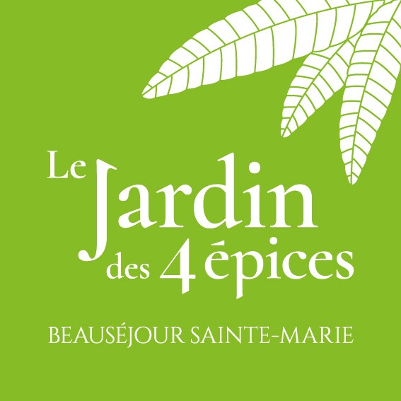 Vente Terrain à Sainte-Marie 0 pièce