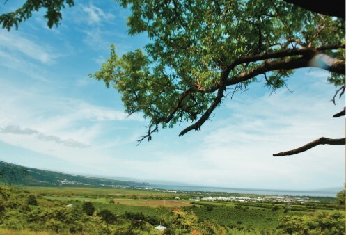 Vente Terrain à Saint-Paul 0 pièce