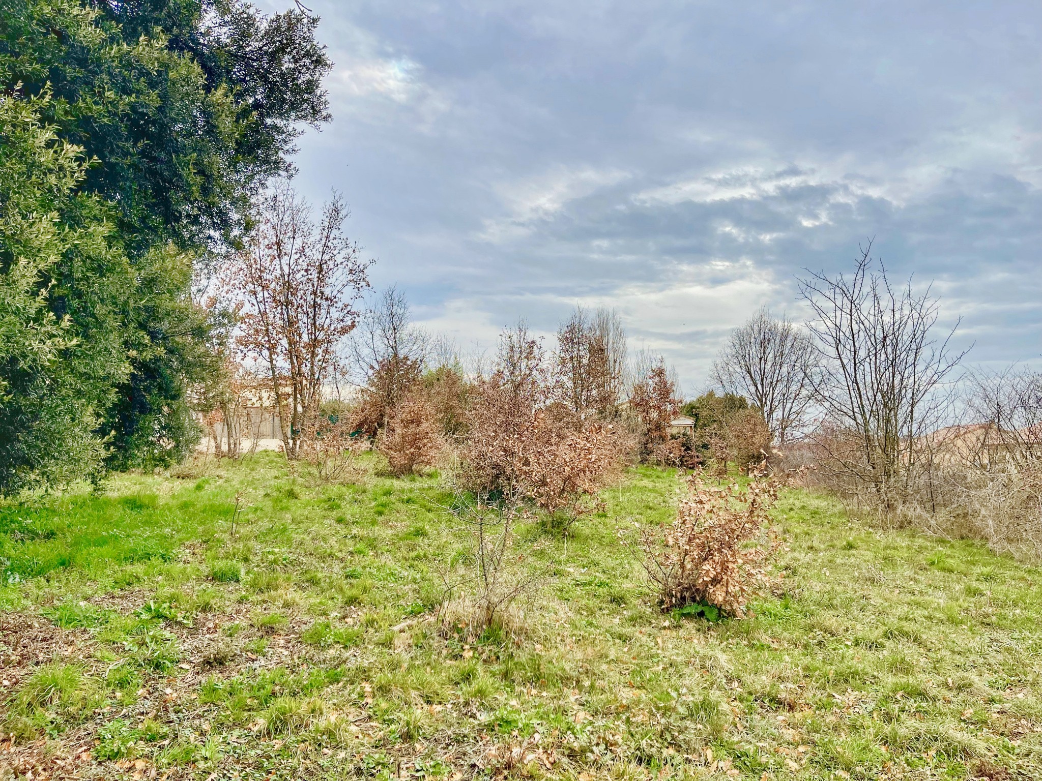 Vente Terrain à Gaillac 0 pièce