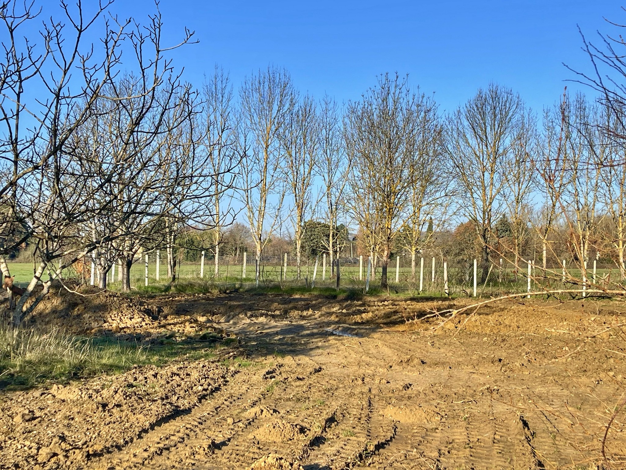 Vente Terrain à Lavaur 0 pièce