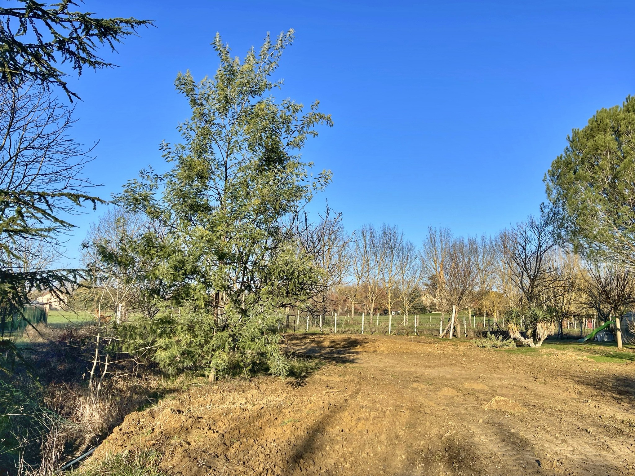 Vente Terrain à Lavaur 0 pièce