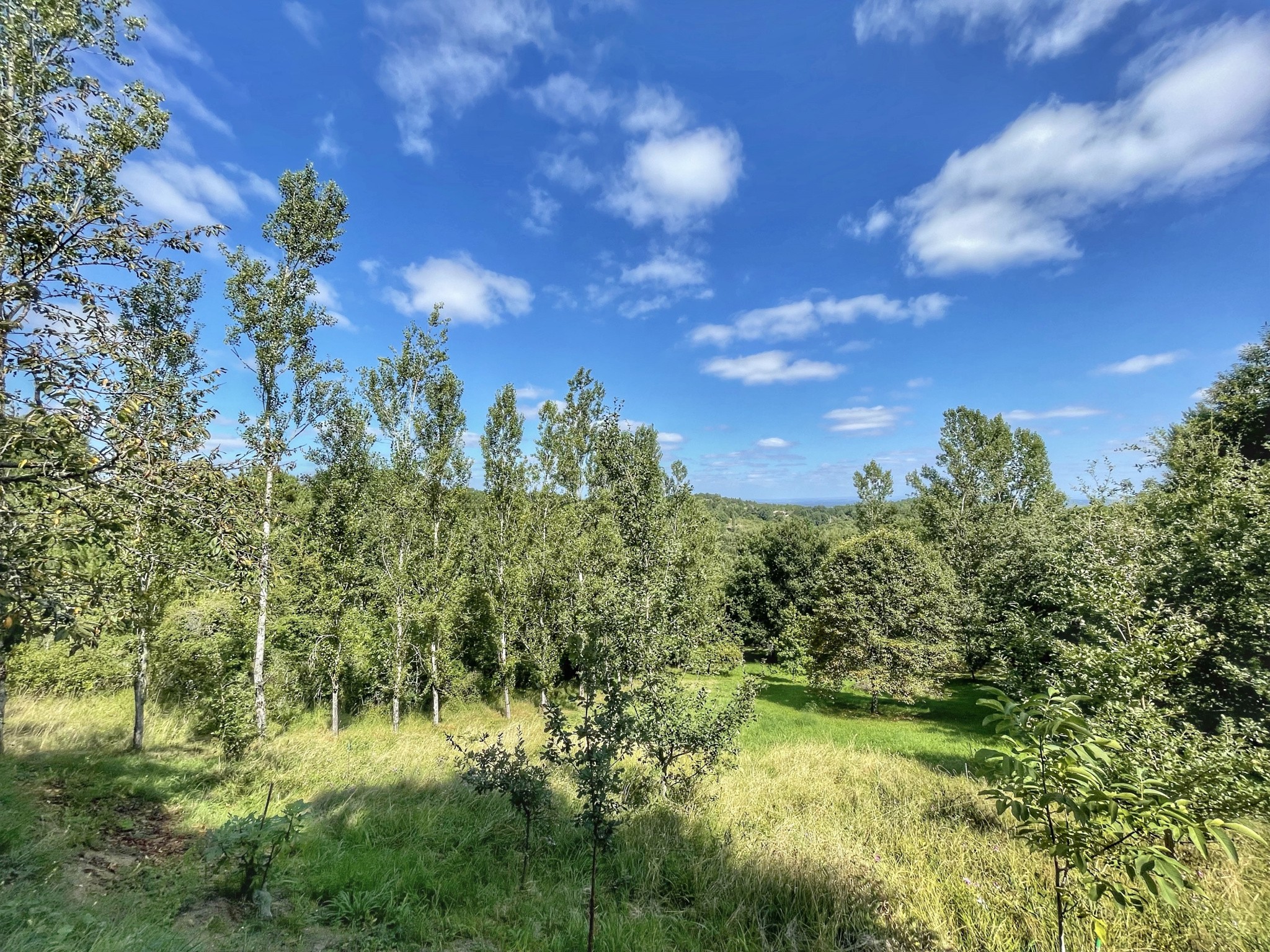 Vente Maison à Gaillac 5 pièces