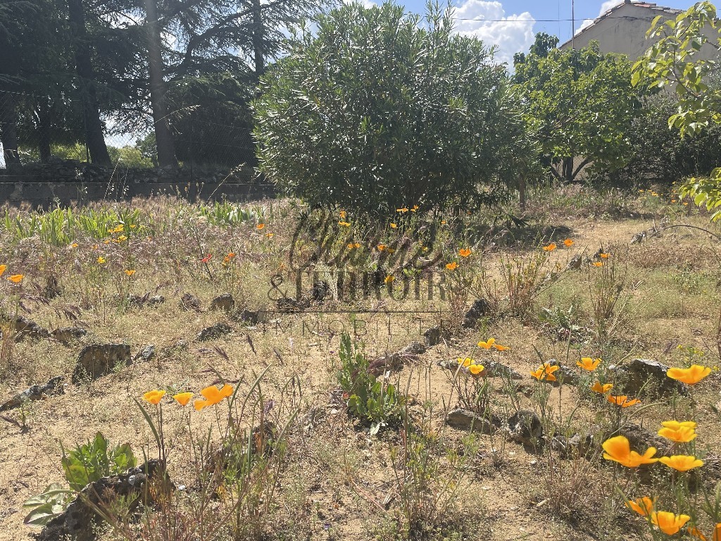 Vente Maison à Uzès 5 pièces