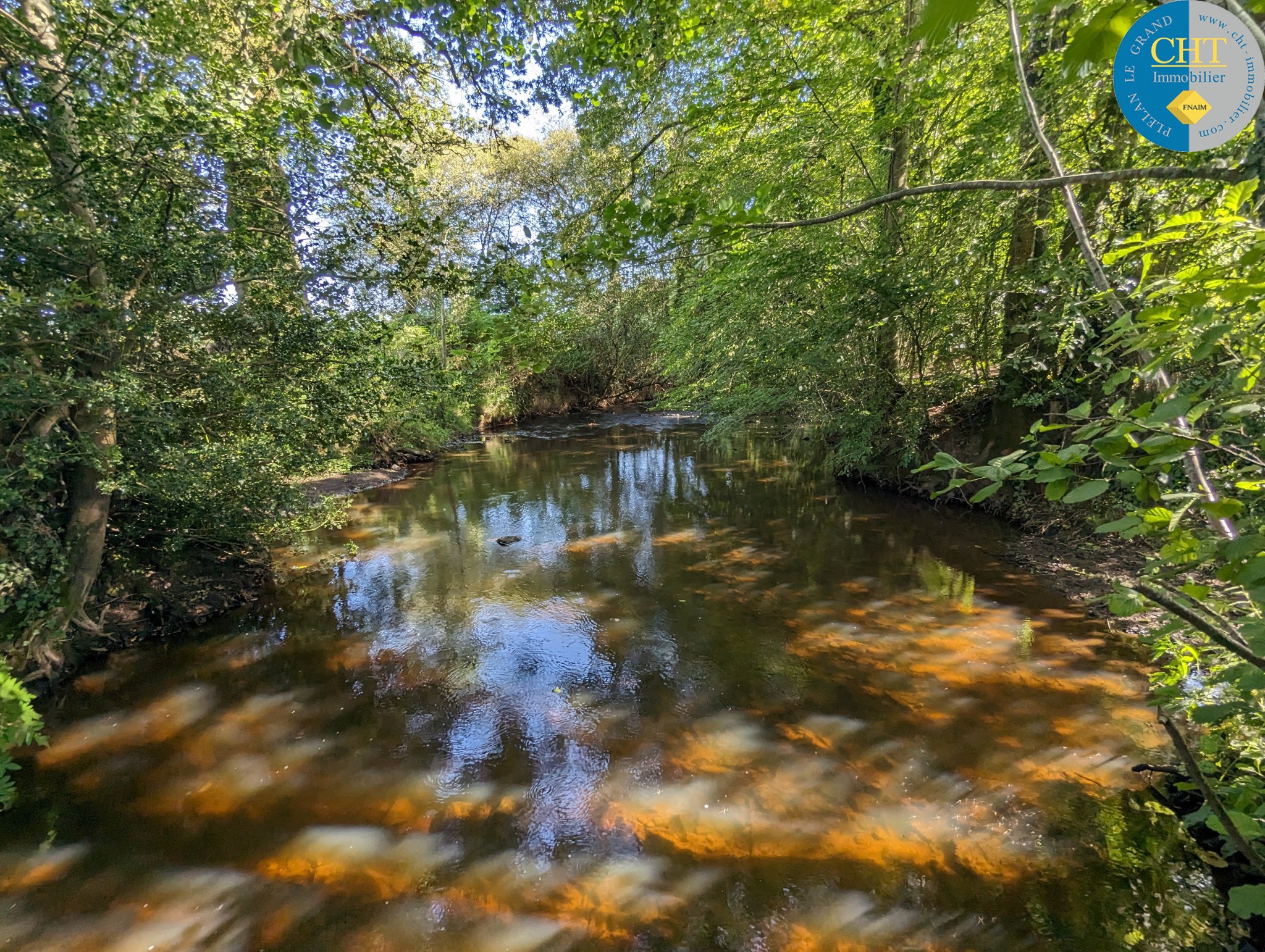 Vente Terrain à Beignon 0 pièce