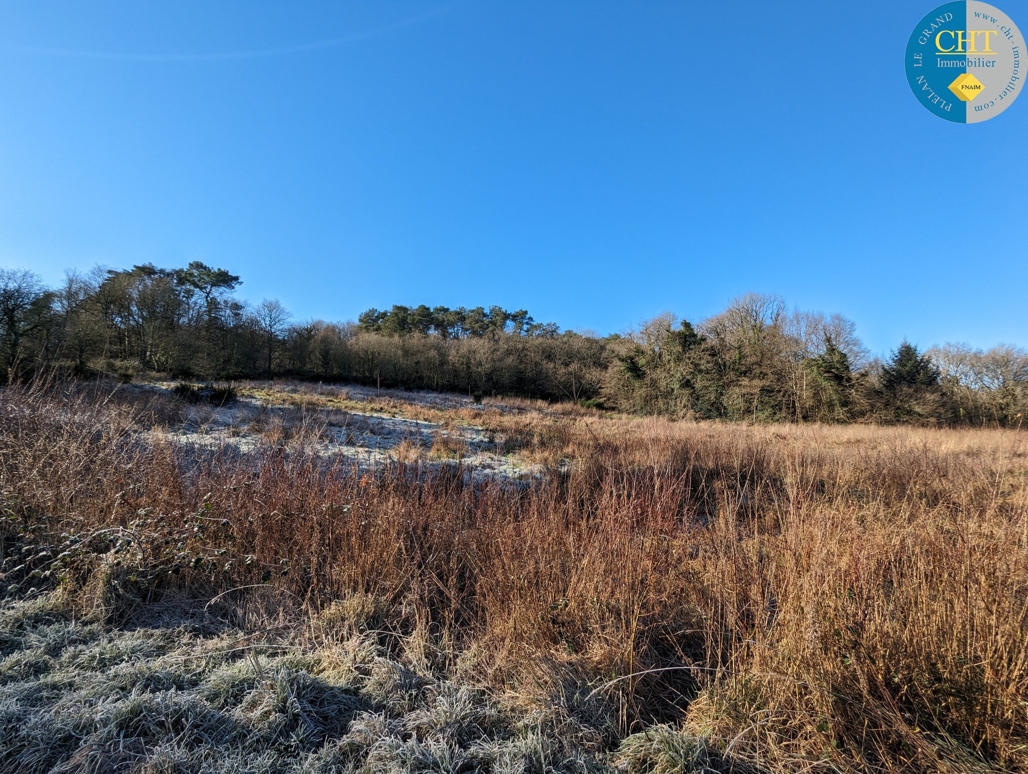 Vente Terrain à Beignon 0 pièce