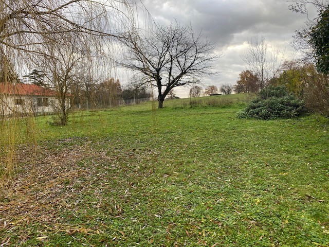 Vente Terrain à Chaponost 0 pièce