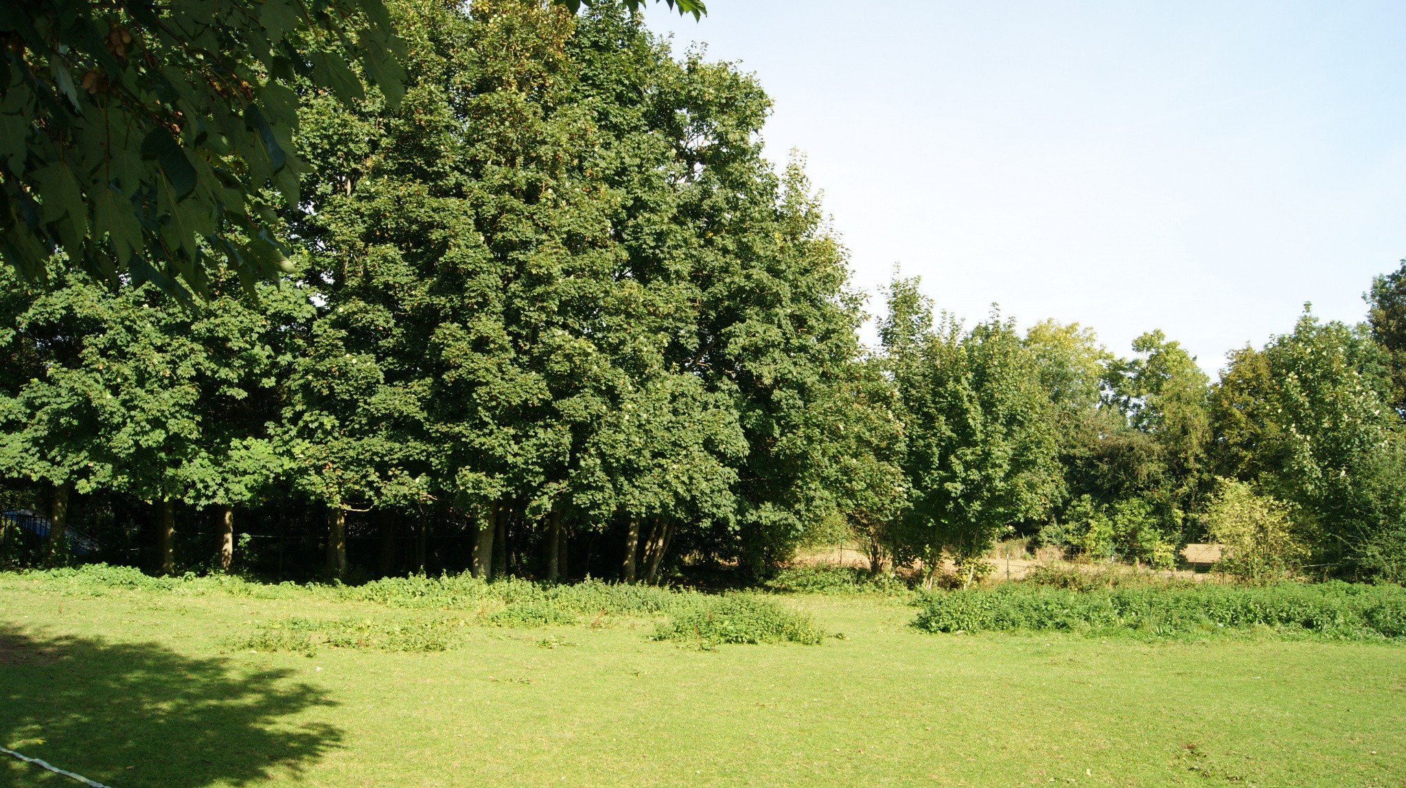 Vente Maison à Ergnies 8 pièces