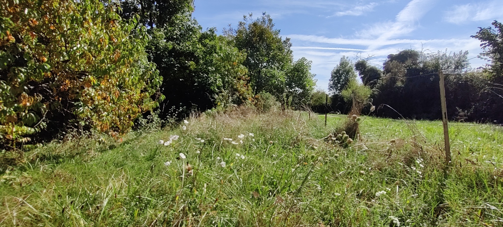 Vente Terrain à Attignat 0 pièce