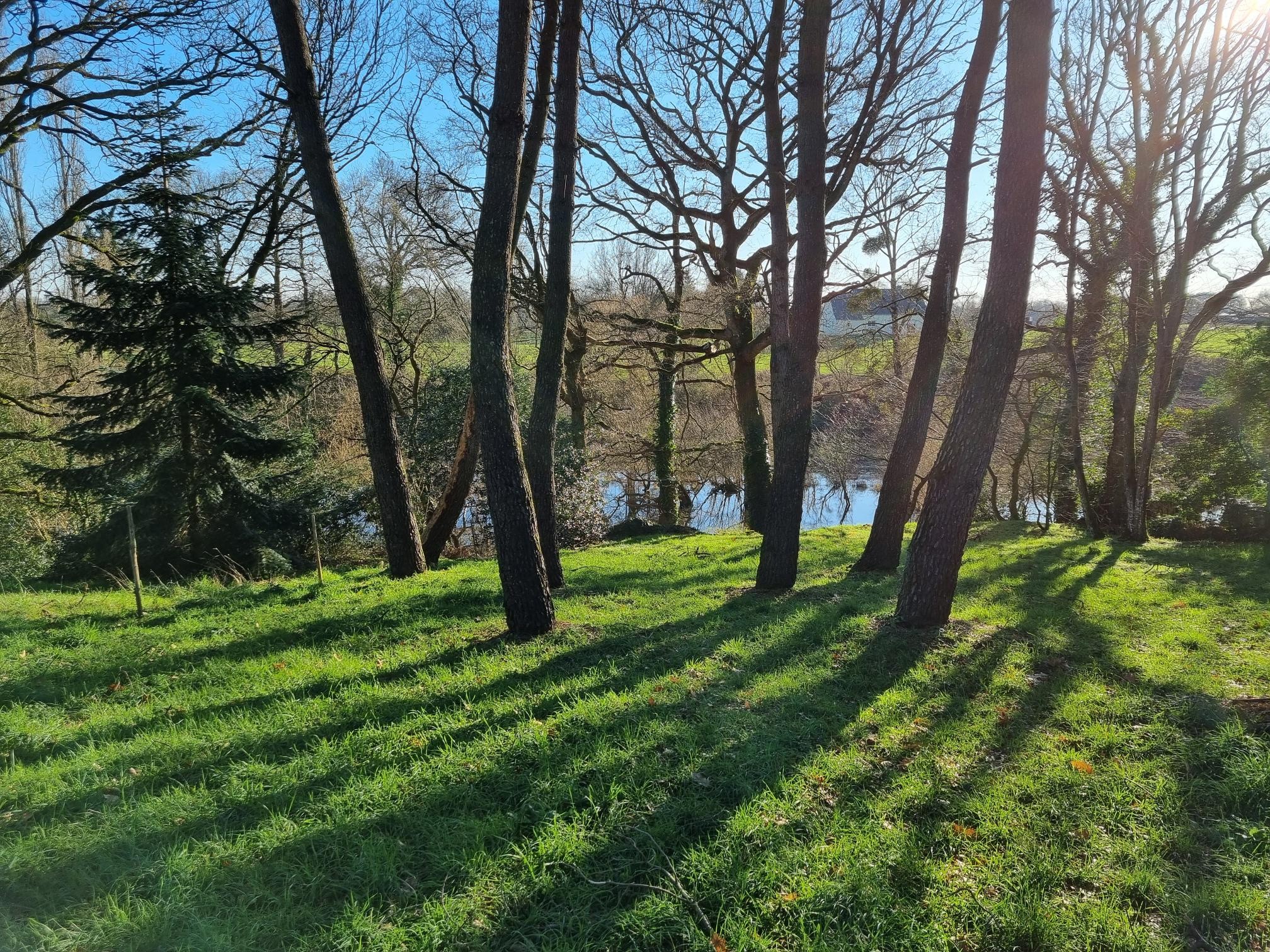 Vente Terrain à Pontchâteau 0 pièce