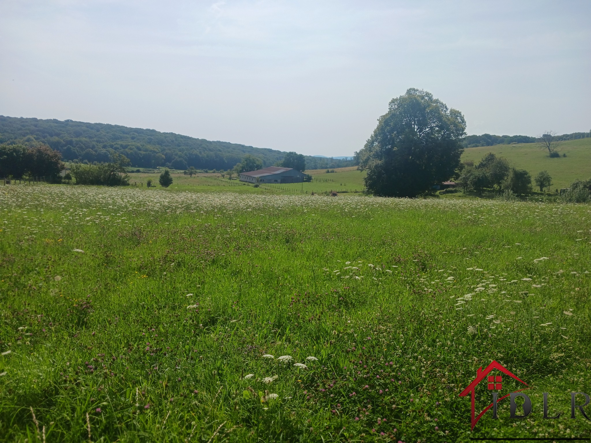 Vente Maison à Saint-Remy 5 pièces