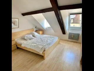 Location Appartement à Strasbourg 2 pièces