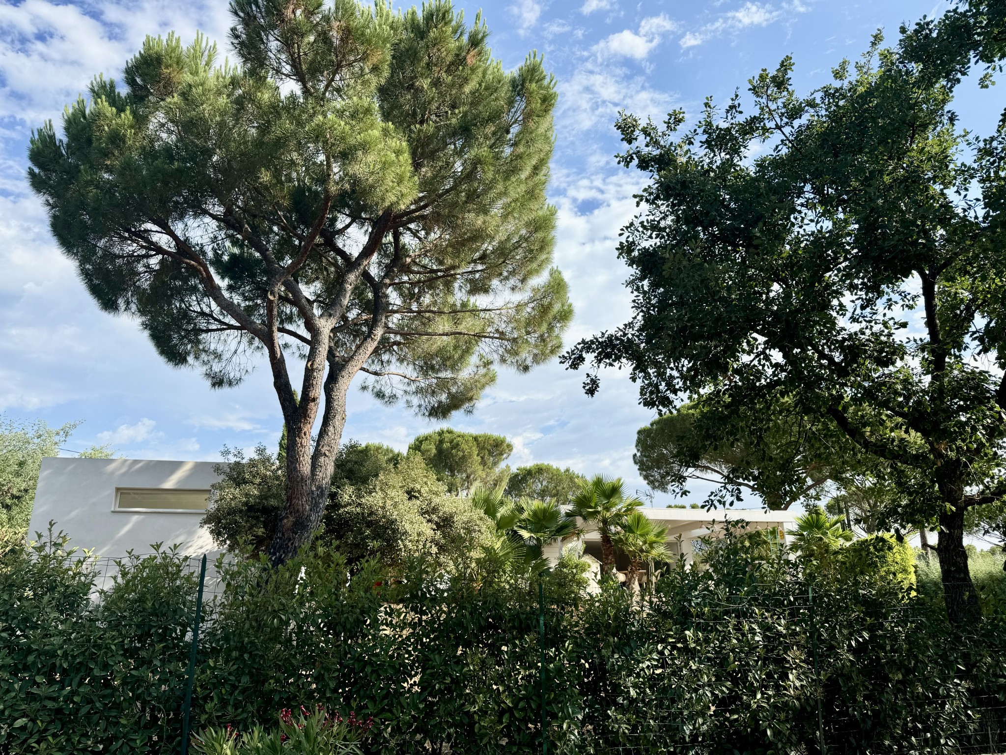 Vente Maison à Vidauban 7 pièces