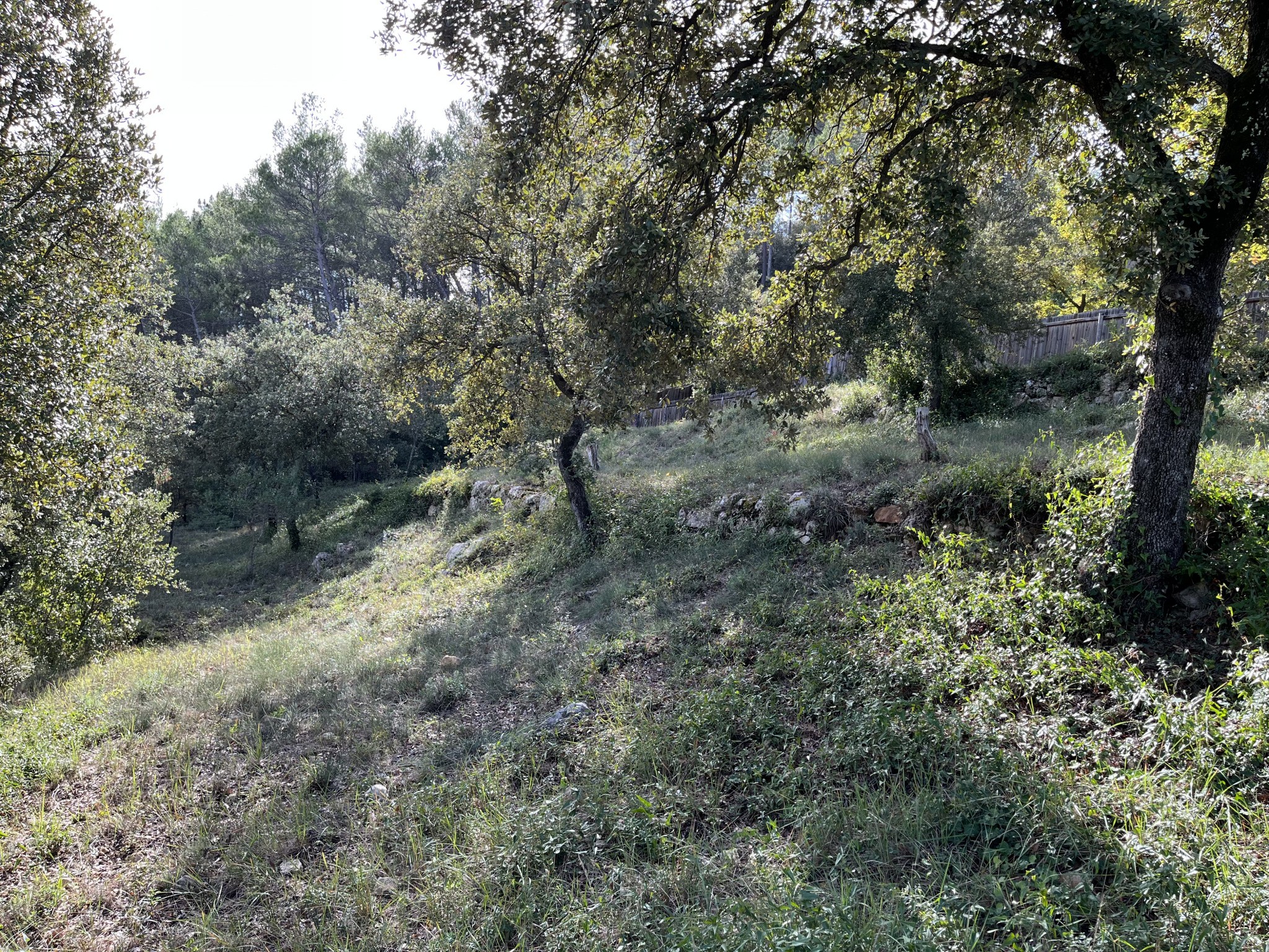 Vente Terrain à Vidauban 0 pièce