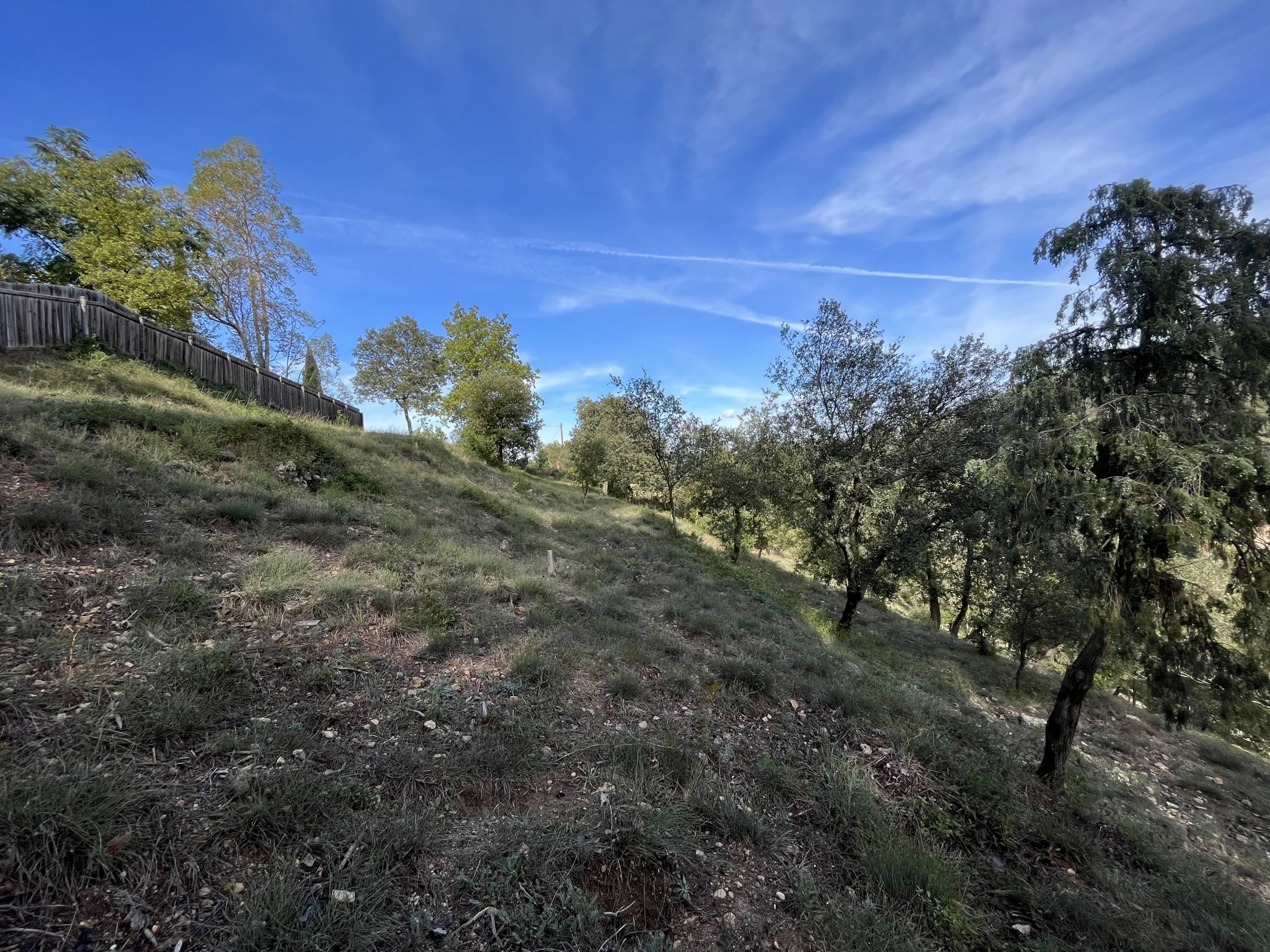 Vente Terrain à Vidauban 0 pièce