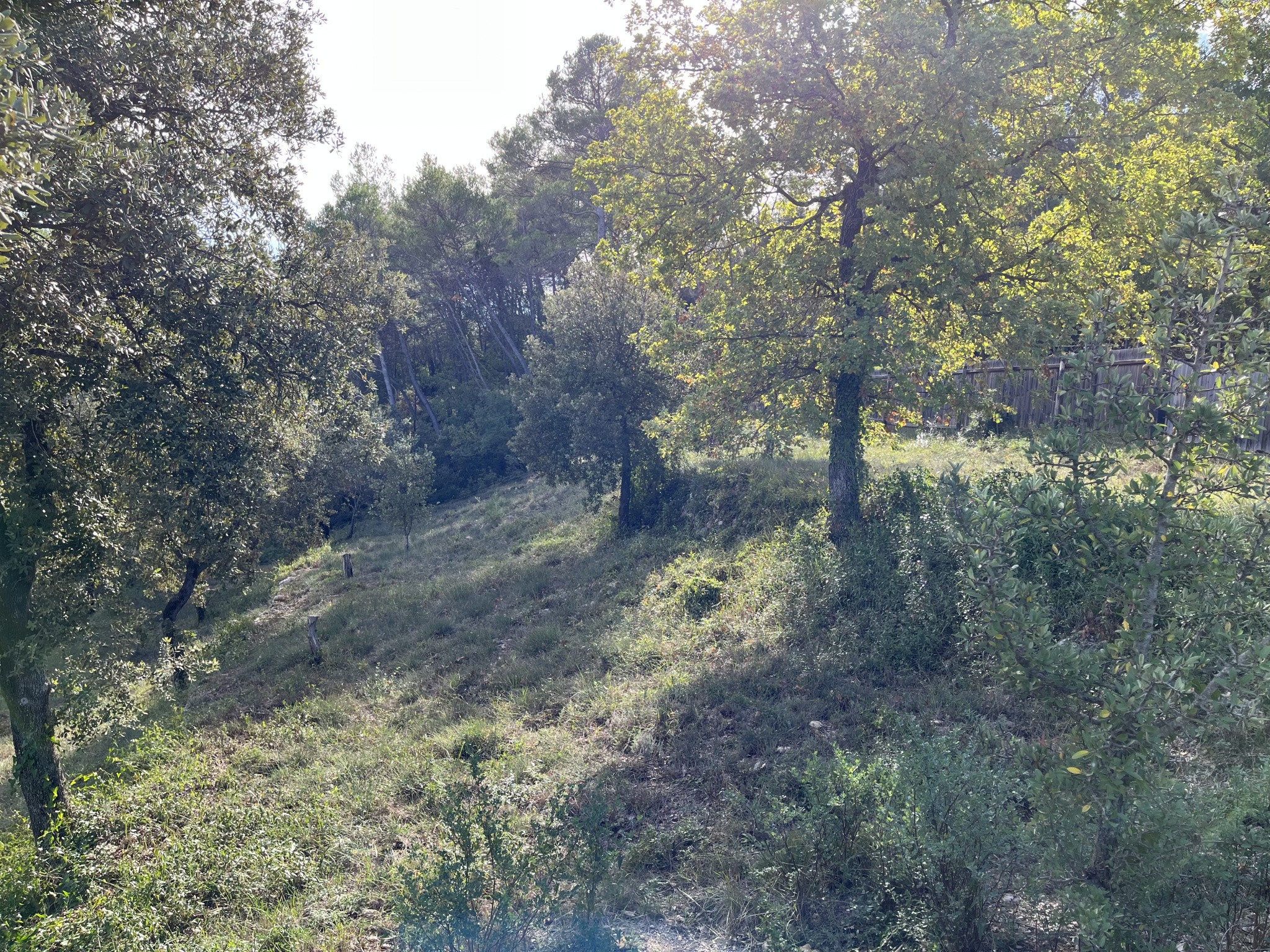 Vente Terrain à Vidauban 0 pièce