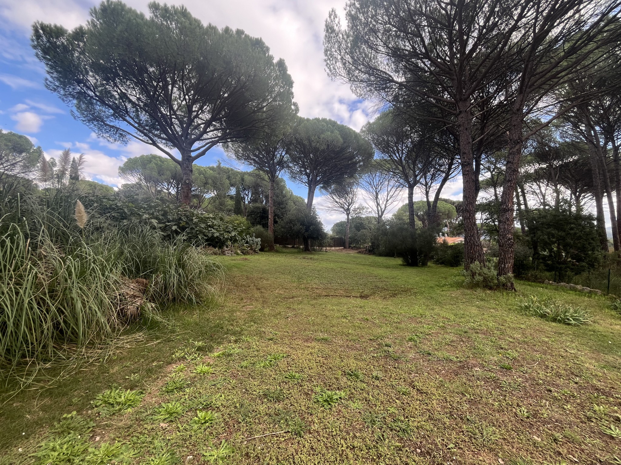 Vente Maison à Vidauban 4 pièces