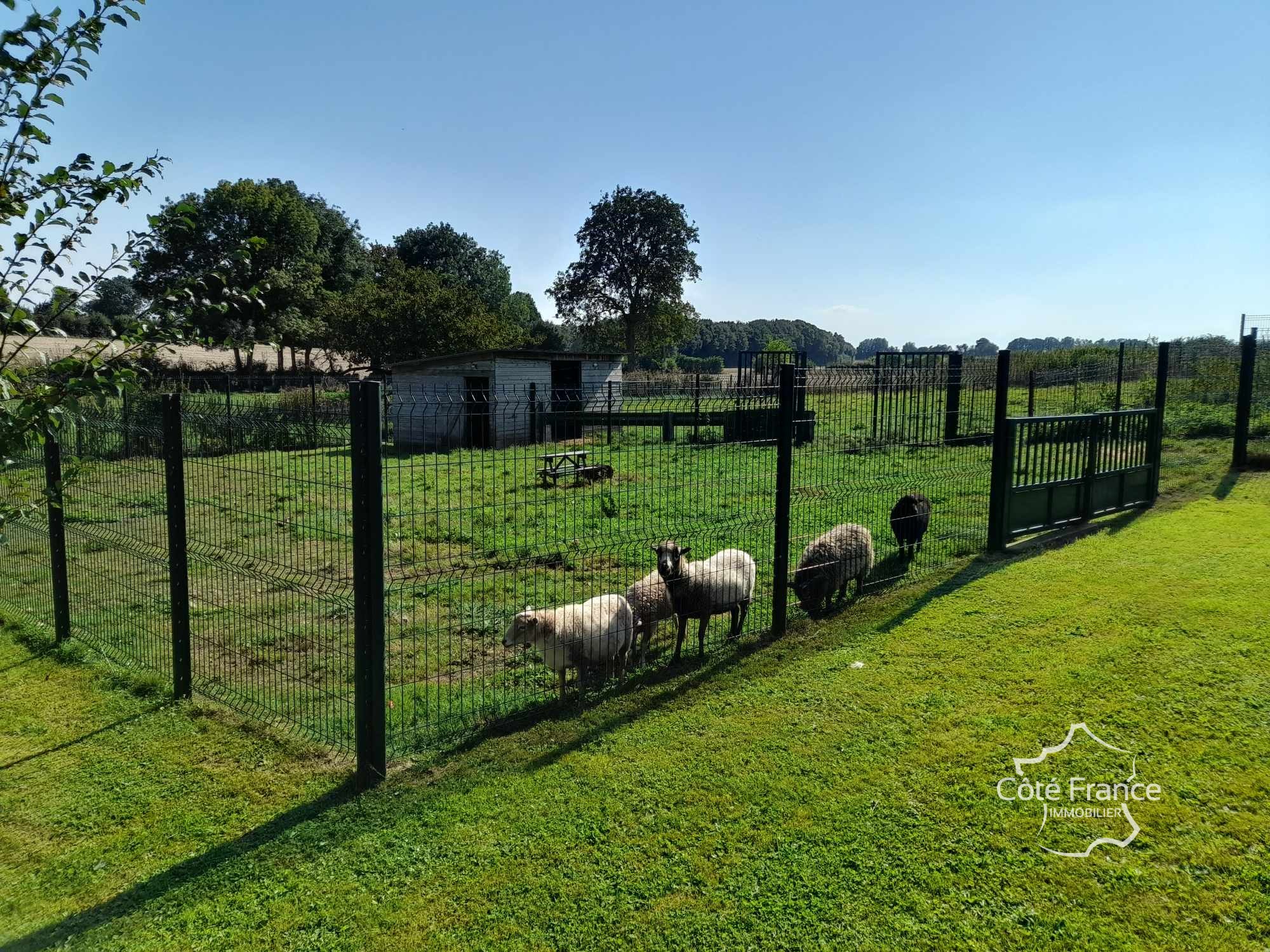 Vente Maison à Wassigny 15 pièces