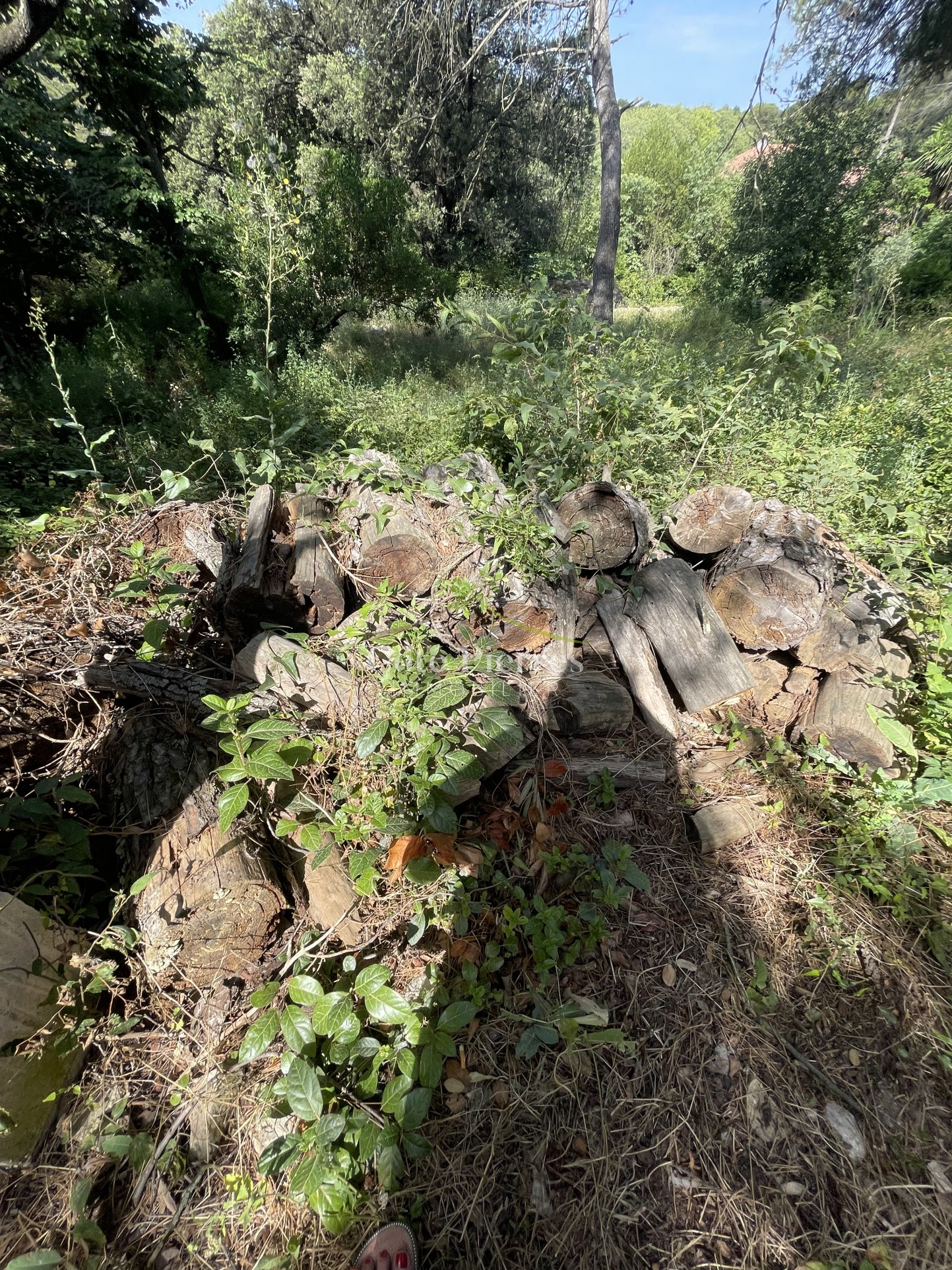 Vente Terrain à Nîmes 0 pièce