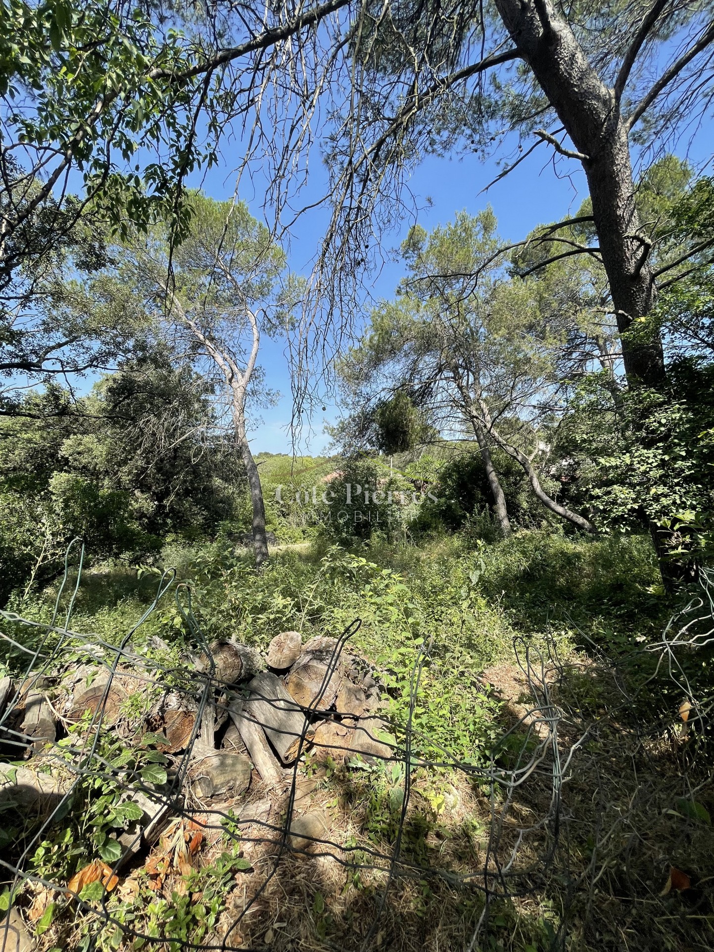 Vente Terrain à Nîmes 0 pièce