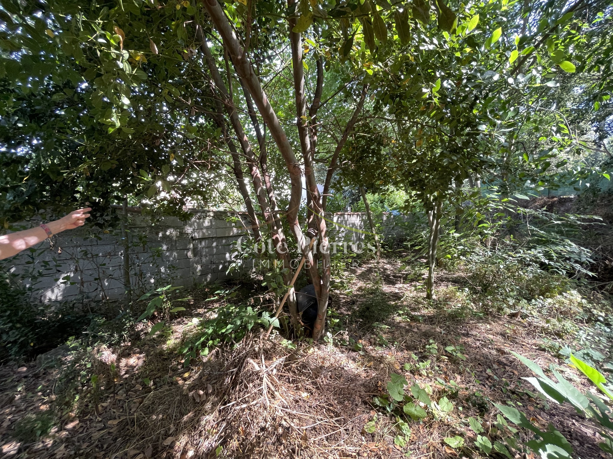 Vente Terrain à Nîmes 0 pièce