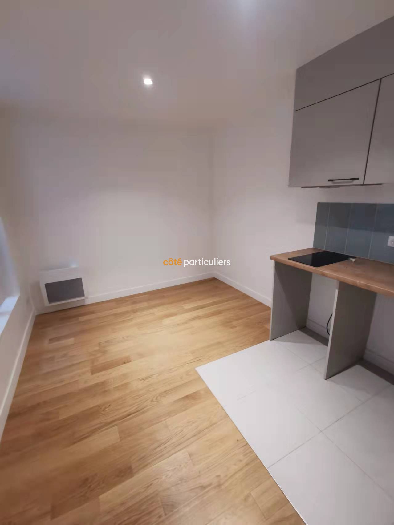 Location Appartement à Paris Buttes-Chaumont 19e arrondissement 1 pièce