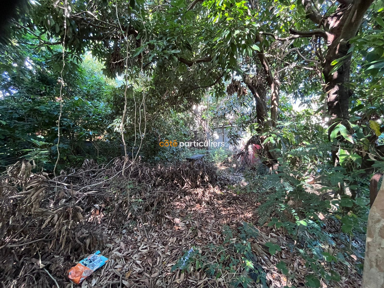 Vente Terrain à Saint-Pierre 0 pièce