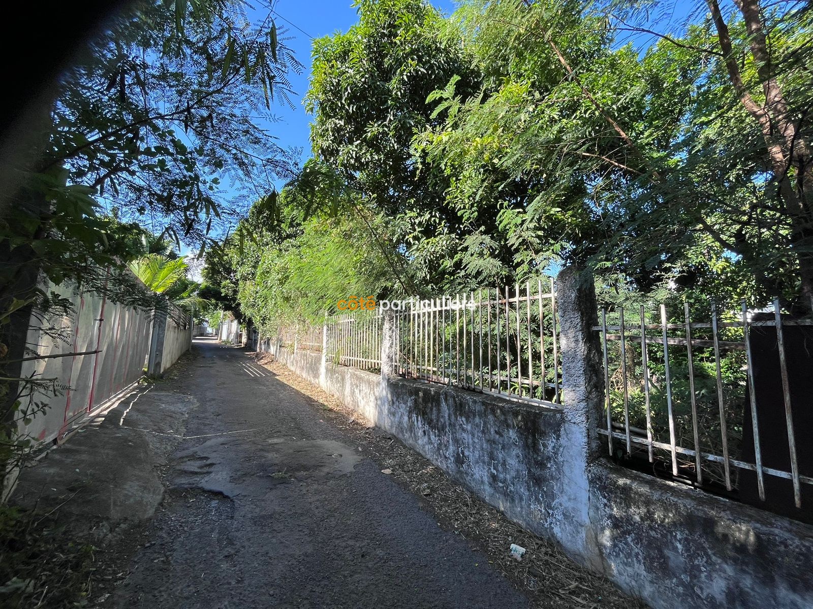 Vente Terrain à Saint-Pierre 0 pièce