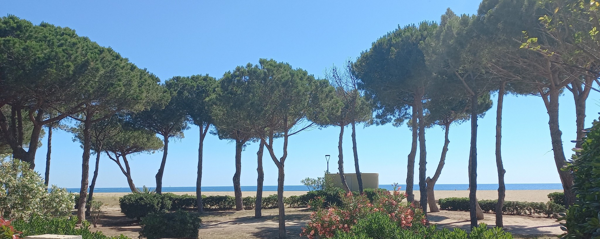 Vente Appartement à Argelès-sur-Mer 2 pièces