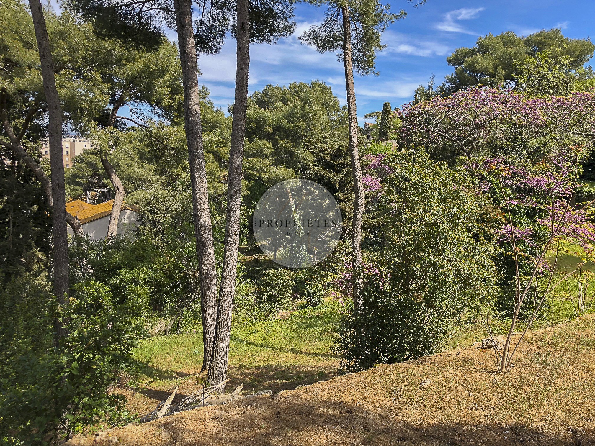 Vente Terrain à Sète 0 pièce