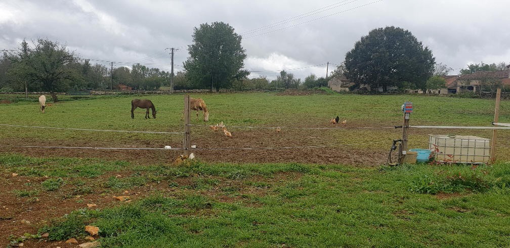 Vente Maison à Caylus 5 pièces