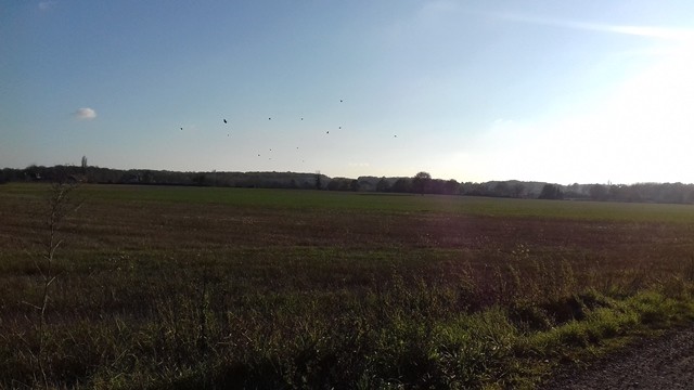 Construction Maison à Mazières-de-Touraine 4 pièces