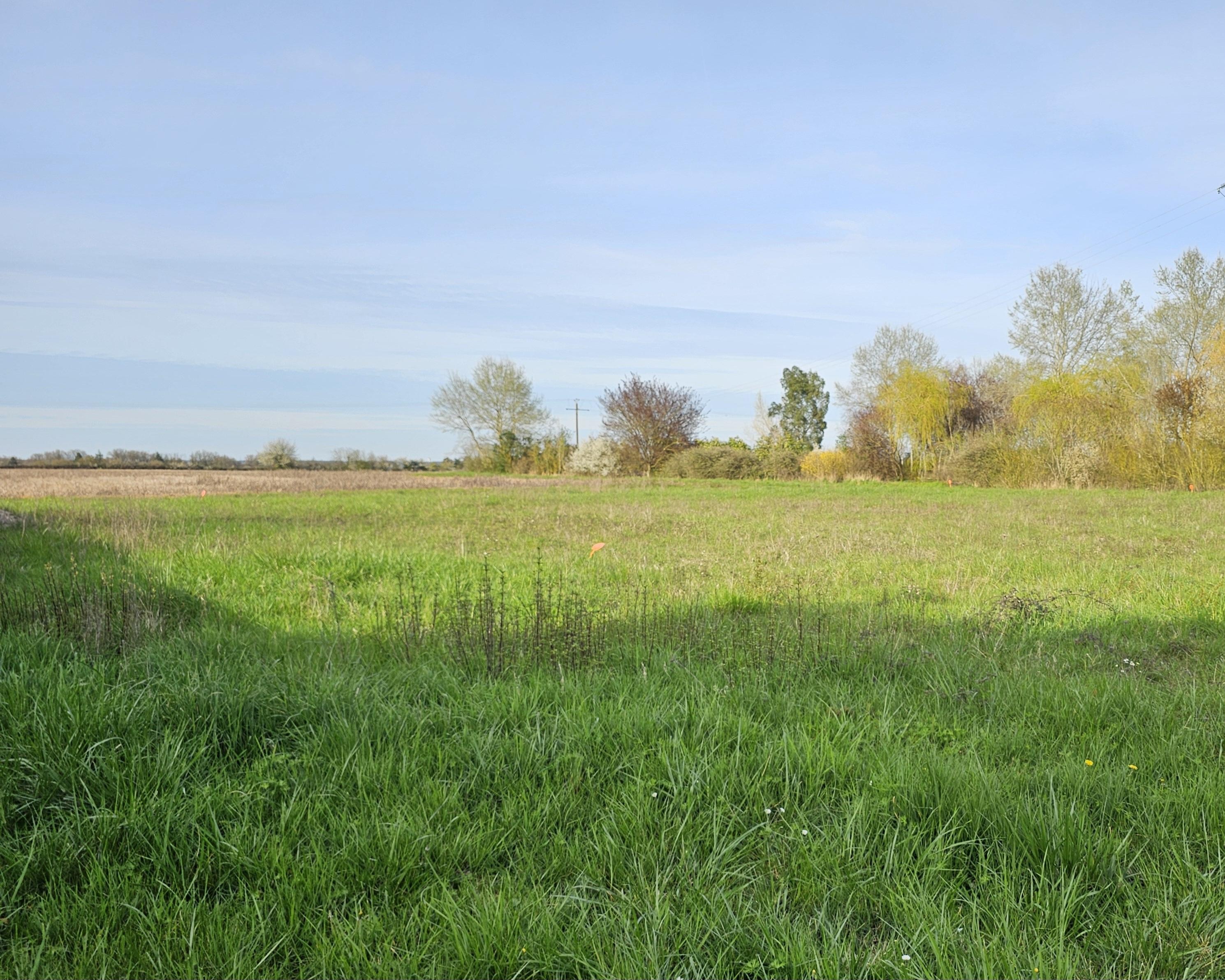 Construction Maison à Sainte-Maure-de-Touraine 4 pièces