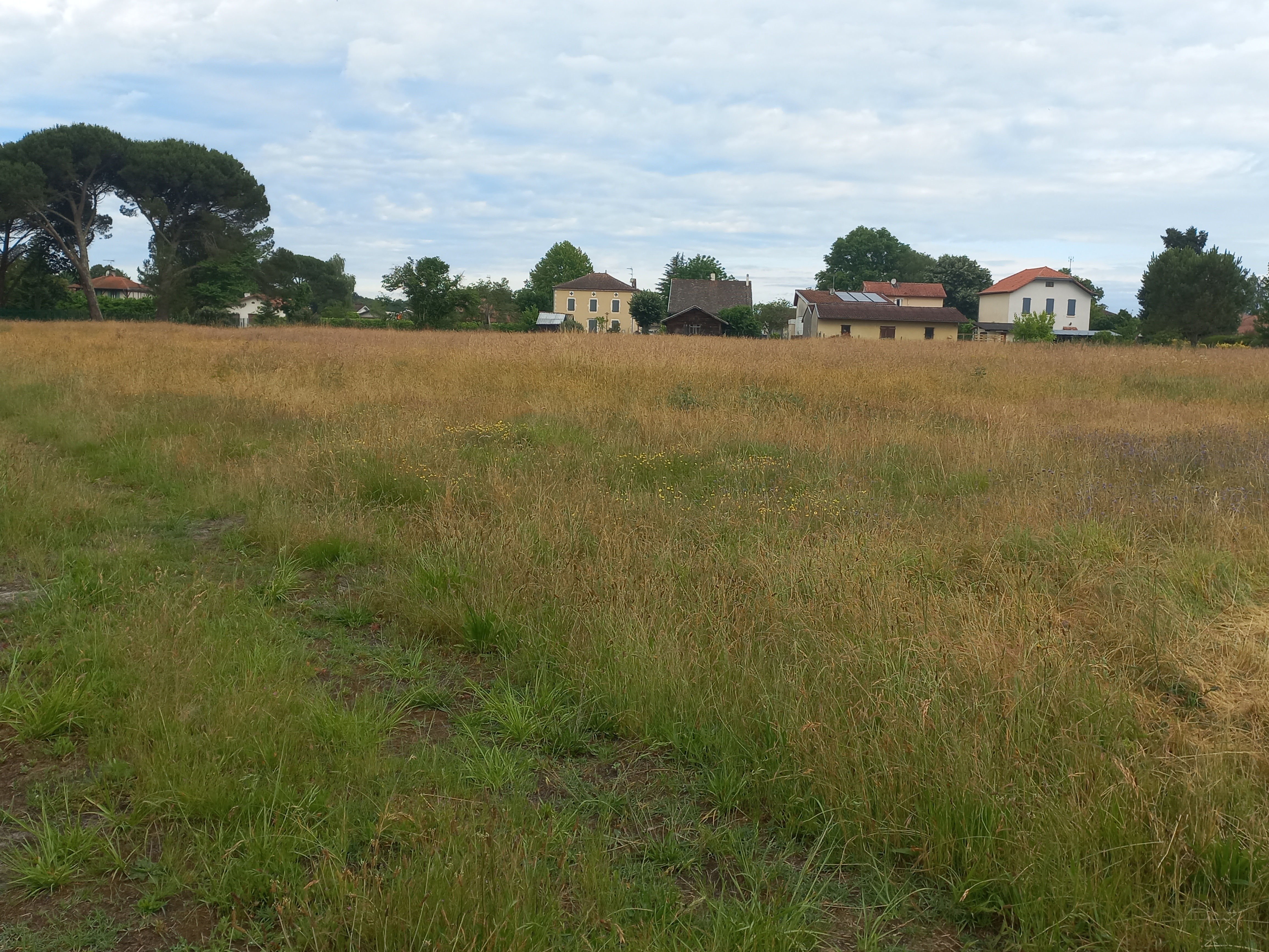 Construction Maison à Rion-des-Landes 4 pièces