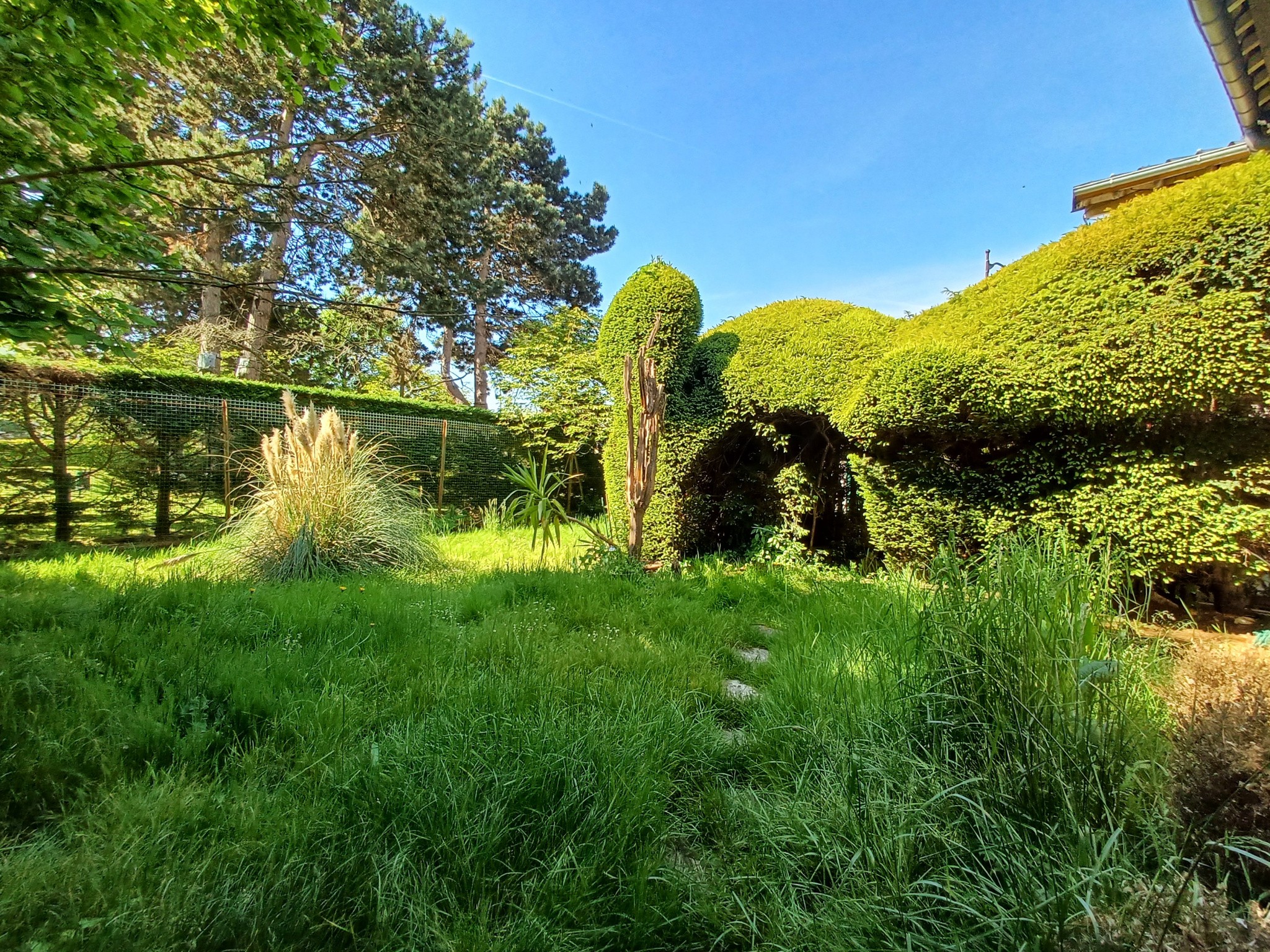 Vente Maison à Versailles 5 pièces