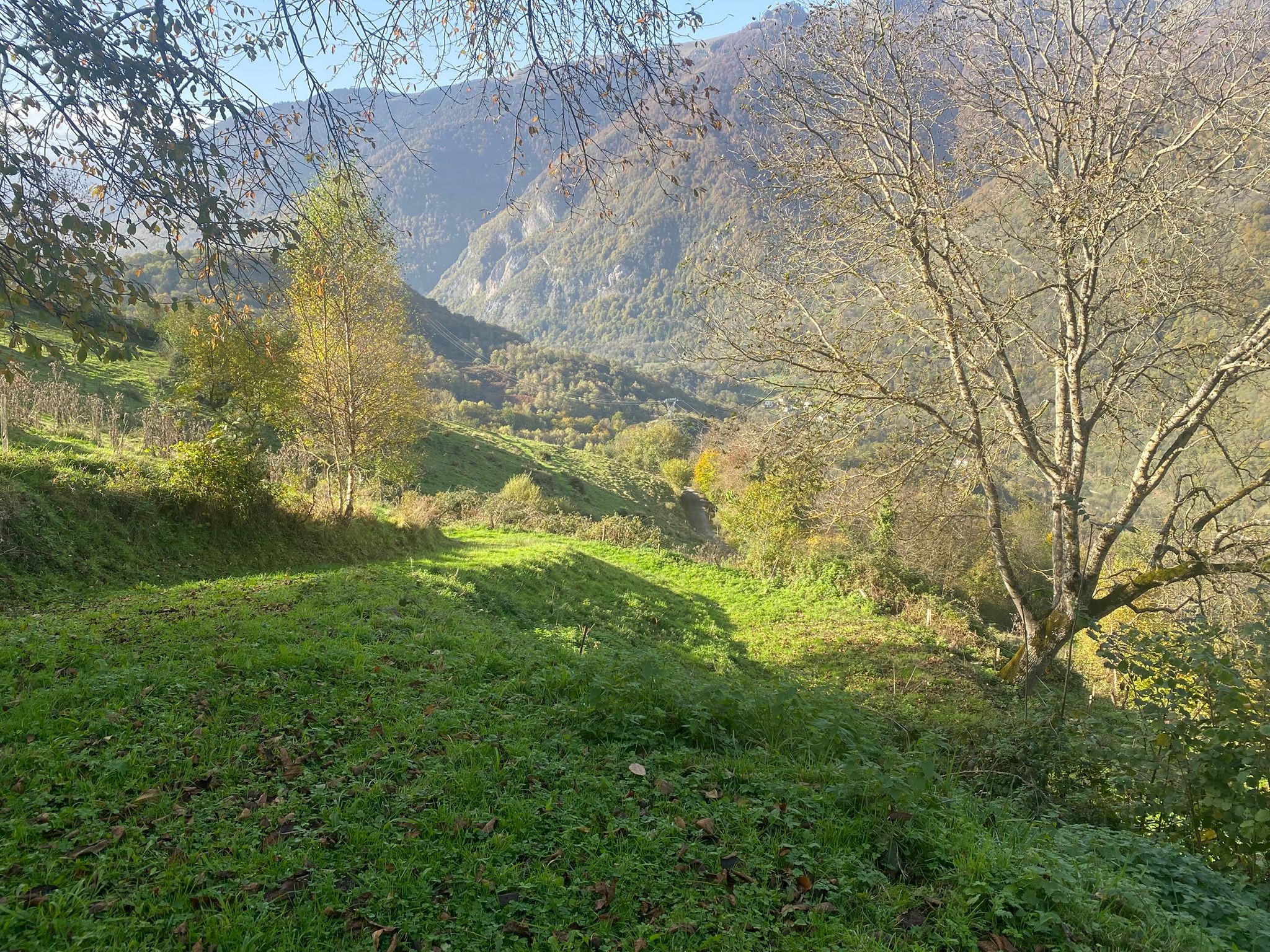 Vente Terrain à Bagnères-de-Luchon 0 pièce