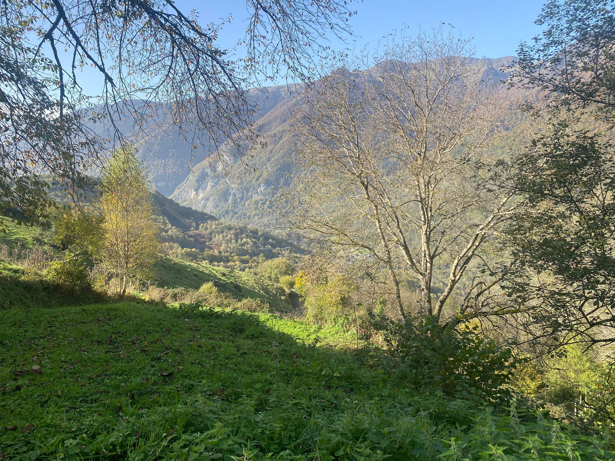 Vente Terrain à Bagnères-de-Luchon 0 pièce