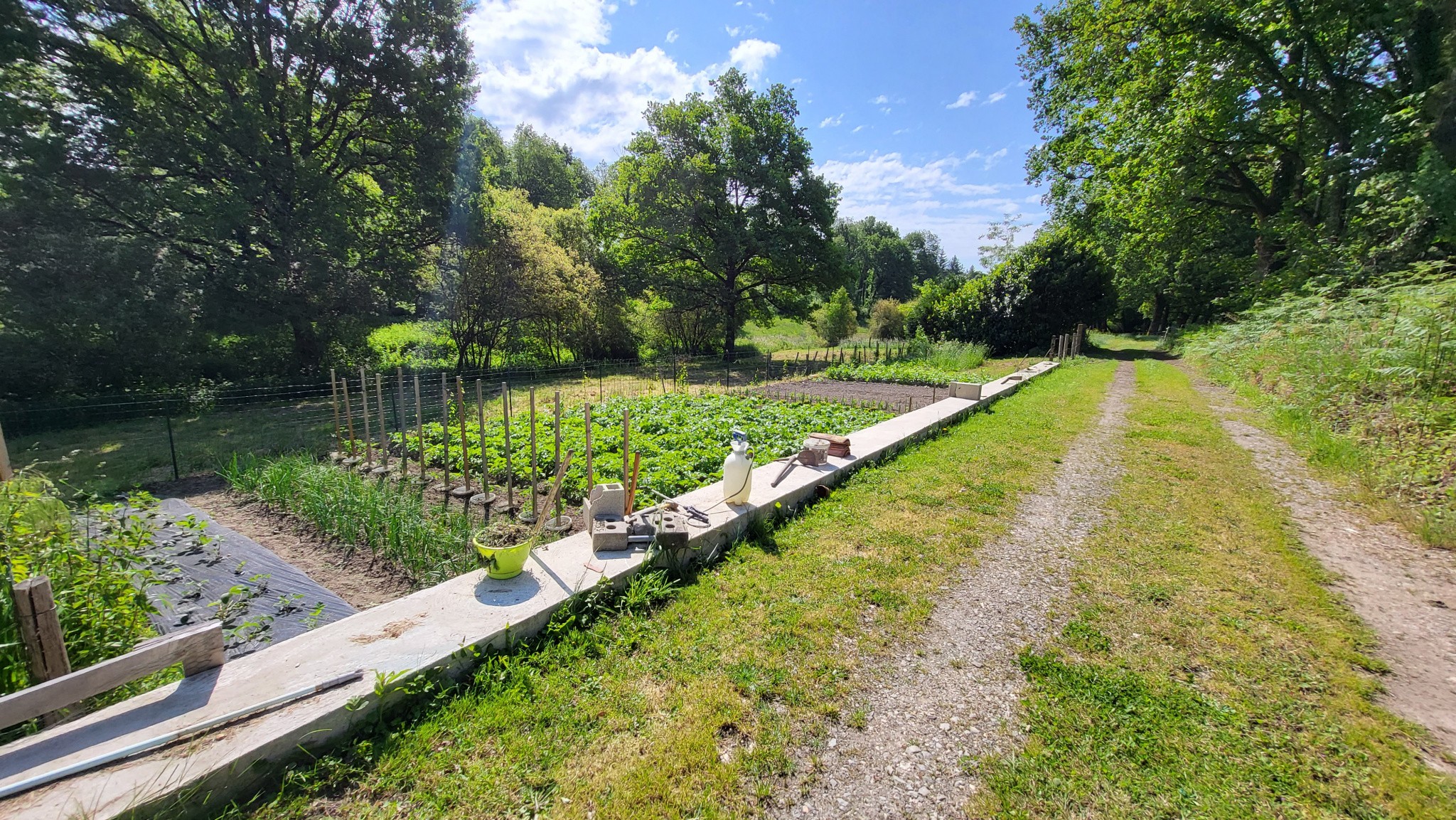 Vente Maison à Maisonnais-sur-Tardoire 6 pièces