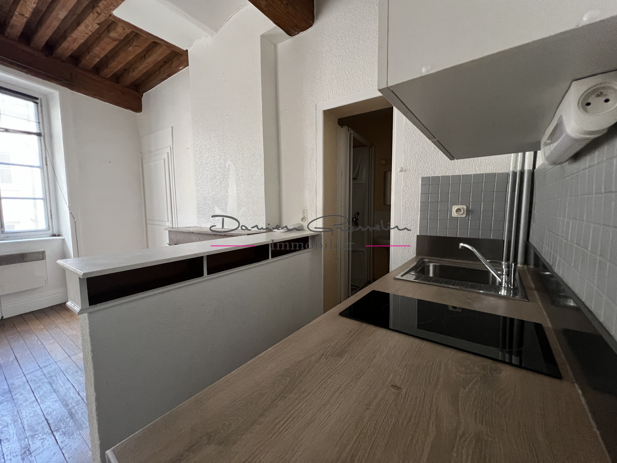 Vente Appartement à Lyon 1er arrondissement 1 pièce